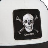 Danger Skull and Crossbones
